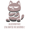 Sulky cat, I want to sulk today