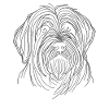 Line Art Briard Briards