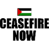 Ceasefire now free palestine