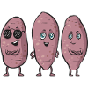 Légumes-racines de patates douces