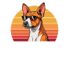 basenji mom, basenji