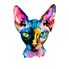 Sphynx illustration, funny sphynx cat