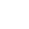 Star Shape Two Stars Icon
