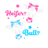 Gender Reveal Babyshower