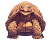 Riesenschildkröten Riesenschildkröte