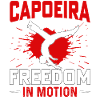 Capoeira freedom in motion