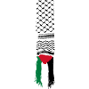 Palestinian scarf