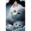 CUTE CAT