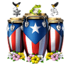 Puerto Rico Boricua Drums