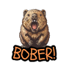 "BOBER!" - Funny Meme Shirt