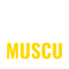 Idée cadeau pour musculation