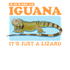 Iguana Reptile Lizard Iguanas Gift