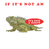 Iguana Reptile Iguanas Lizard Gift