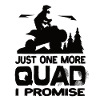 Jeszcze tylko jeden quad, obiecuję quady quad atv