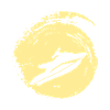 Jet Ski Wakeskate