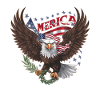 American USA Flag Eagle Pride