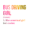 Bus Driver