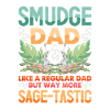 Smudge Sage Feather Spiritual Smudging