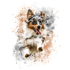 Austrailen Shepherd Hund mit Freude