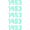 Year of birth 1953