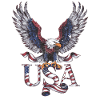 Patriotic USA Eagle Design