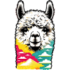 Alpaca