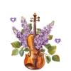 Violin Violin