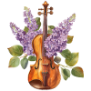 Violin Violin