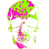 Neon Camo Skull