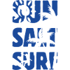 Sun Salt Surf Summer