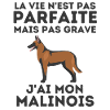 Malinois berger belge