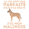 Berger belge malinois 4
