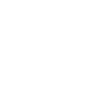 Flying dragon with huge wings