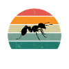 The Ant Whisperer