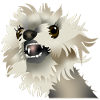 Happy dog