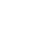 Lawyer Attorney