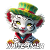 Weisser Tiger