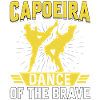 Capoeira dance of the brave
