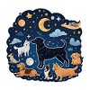 Chiens sous les étoiles