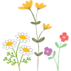 Fleurs Blumen
