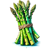 asperges vertes