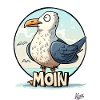 Funny seagull says "Moin"