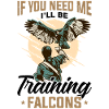 Falke Falkner Spruch