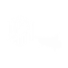 Marine biologist
