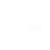 Marine biologist