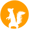 Eichhörnchen im Mondschein