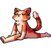 Yoga Namaste Katze