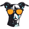 Greyhound Chien Hipster Cool Party