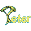 Peter artful yellow text