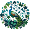 Peacock Ivy